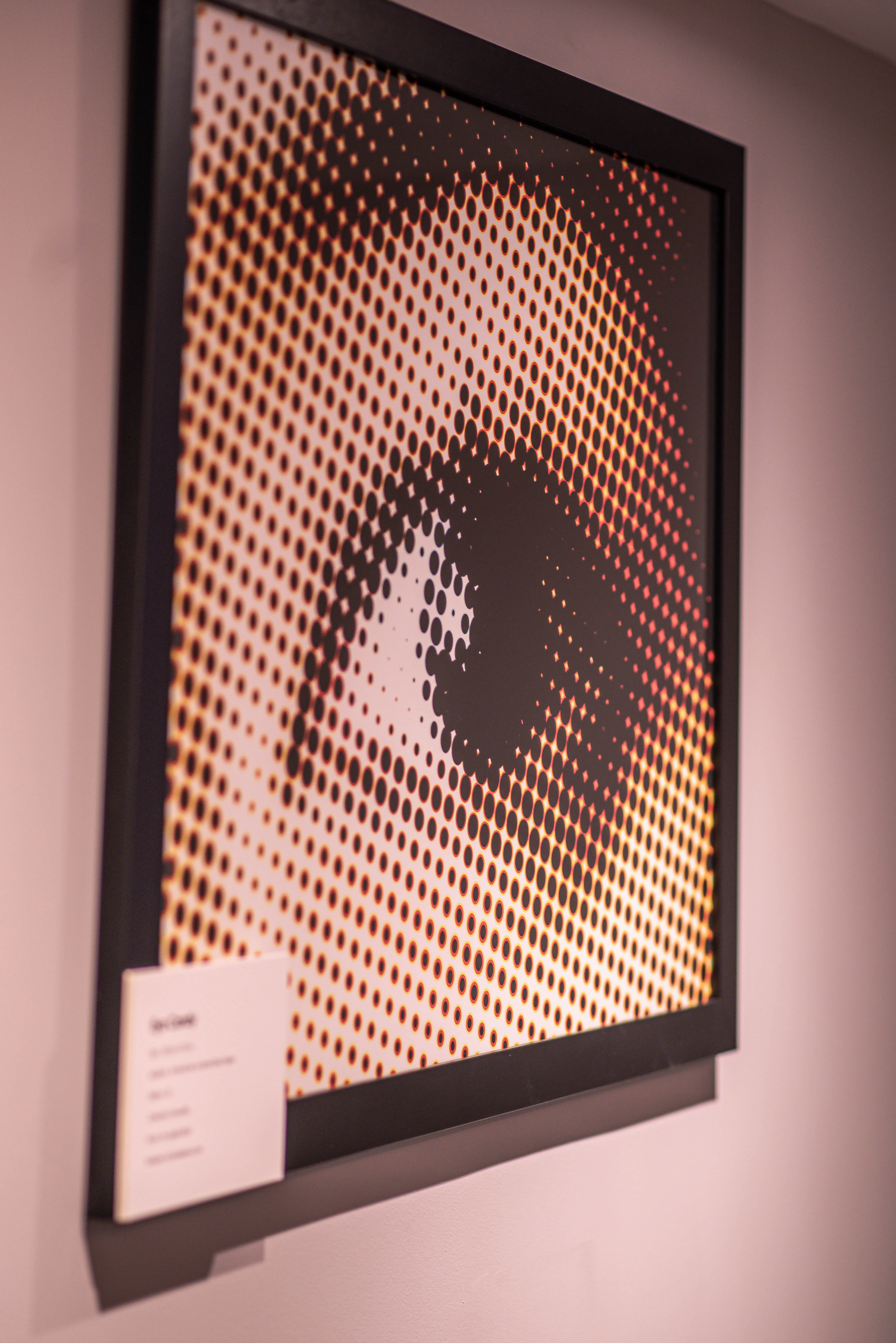 Current exhibition at Glenhouse Aberdeen